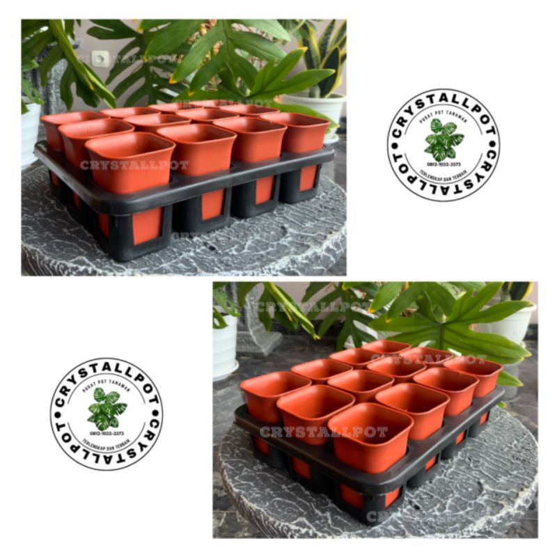 1 set Tray + pot bunga nkt kotak 5cm MERAH BATA | tray semai bibit