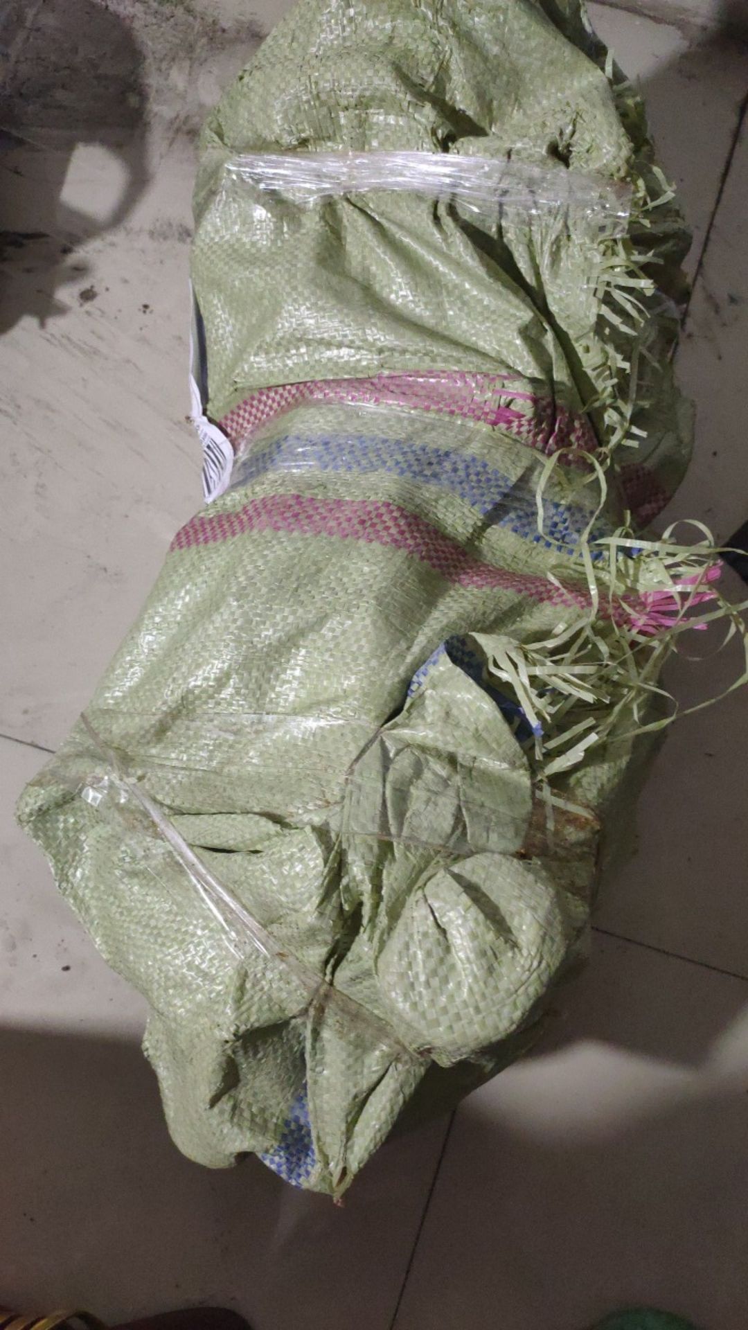 Akar Senggani Beserta Batangnya Dijual Per 100 Gram