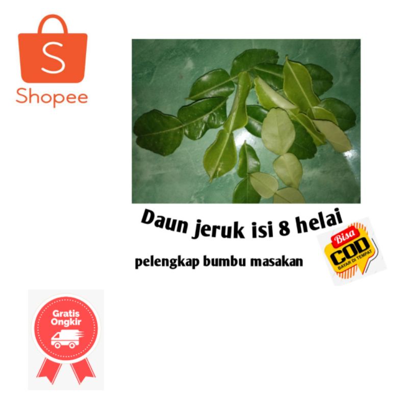 

DAUN JERUK PURUT BARU DI PETIK 8 HELAI / DAUN BUMBU MASAKAN