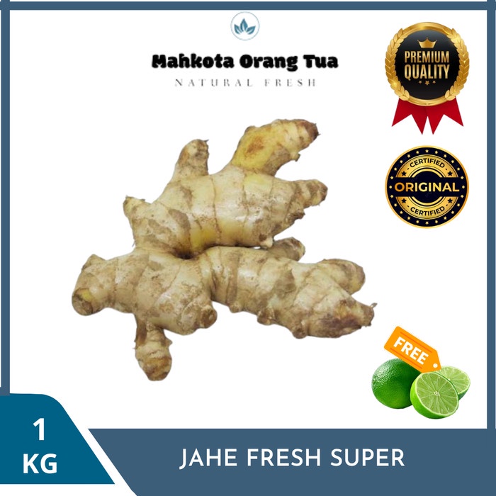 

Jahe 1kilo / Sekilo Fresh Dan Segar - 1 kg (BERKUALITAS)