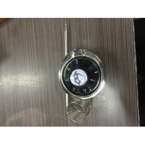 Thermostat EGO 0-40