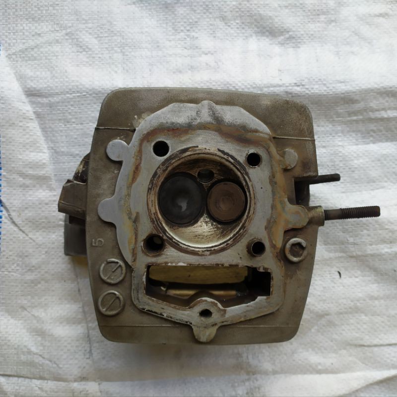 Kop Head Tiger 2000 Tilam Tilas original