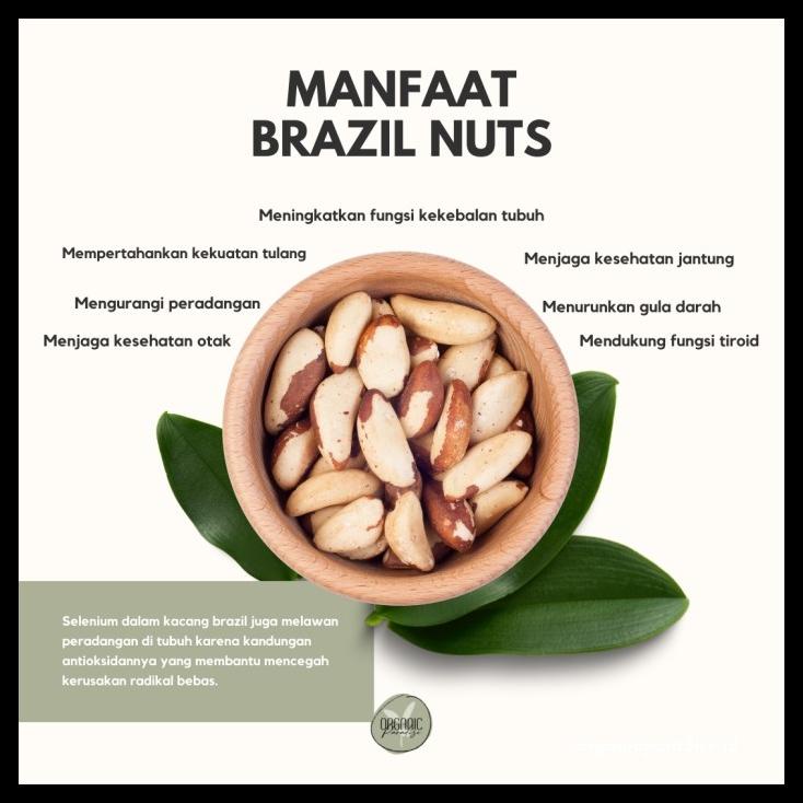 

DISKON TERBATAS !!! BRAZIL NUT / KACANG BRAZIL 250 GRAM PREMIUM QUALITY TERLARIS