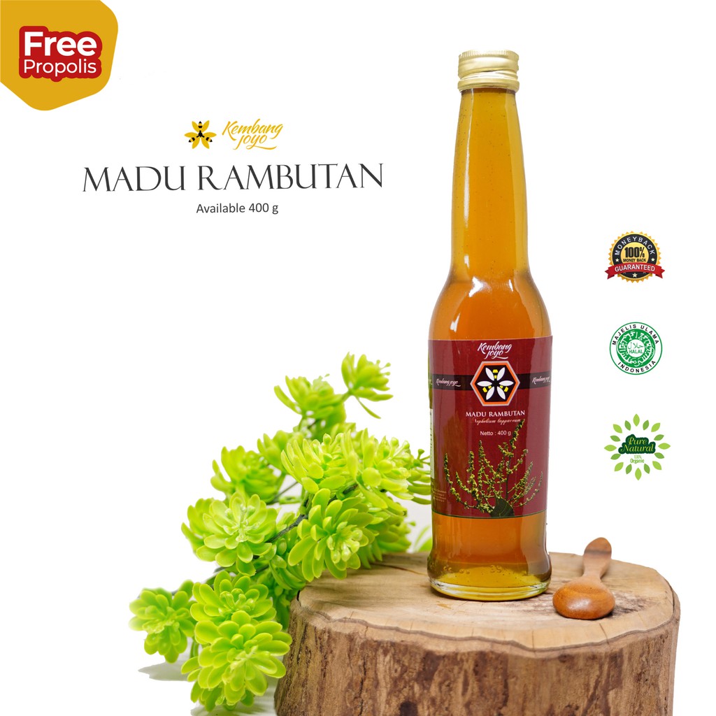 

Madu Kembang Joyo Madu rambutan 400 gram - Free Ongkir