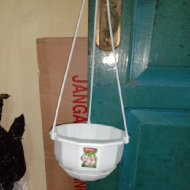 Pot gantung lion star Gardenia 05putih