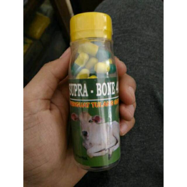 supra bone 40 penguat tulang obat lumpuh sapi kambing dll