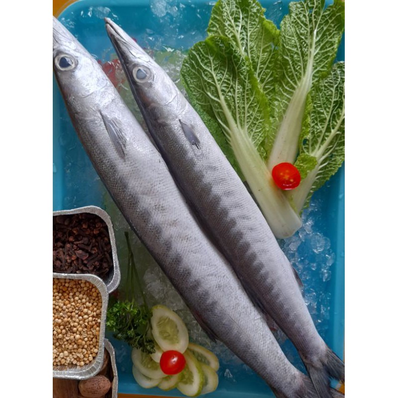 

IKAN ALU ALU FROZEN