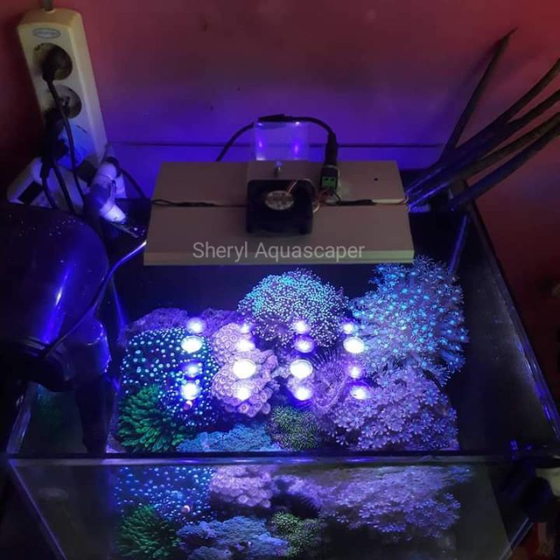 Aquarium Aquascape Marine Tank Full Set