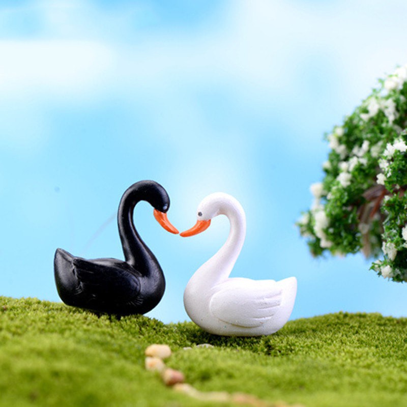 Miniatures - Terrariums - Fairy Garden - Animal_White &amp; Black Swan