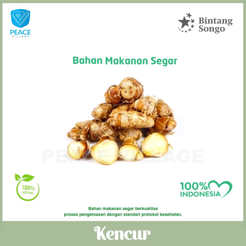 

KENCUR 250GR