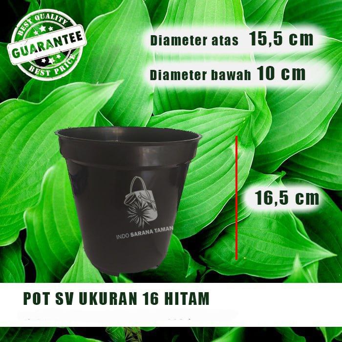 POT TINGGI SV 16 HITAM Pot Tanaman Pot Bunga Pot Plastik Pot Model Tinggi Grosir Pot