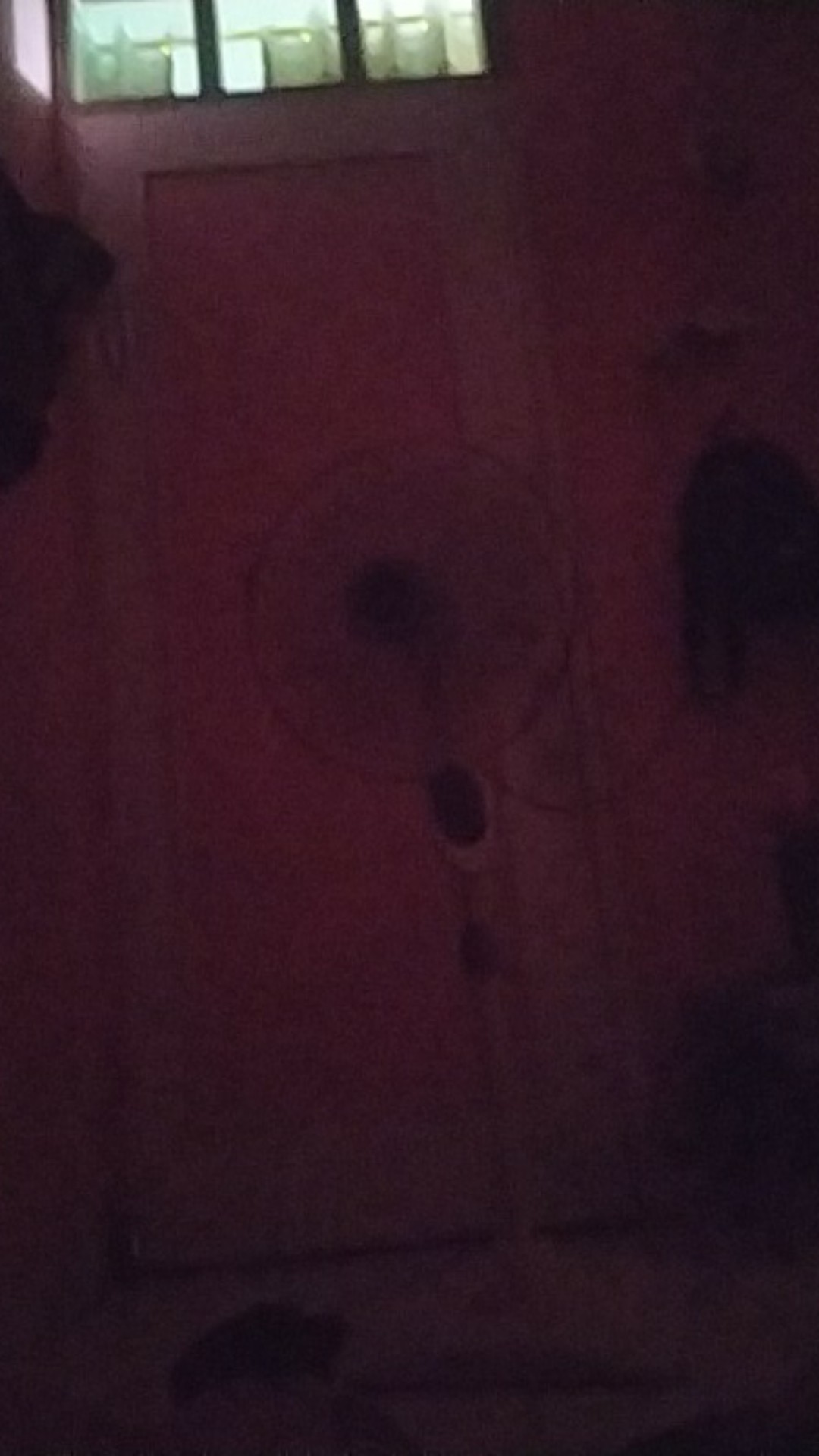 Spon Cuci Piring Pelangi - Perabot