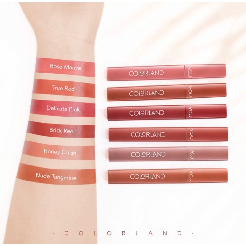 YOU Colorland Powder Mousse Lip Stain