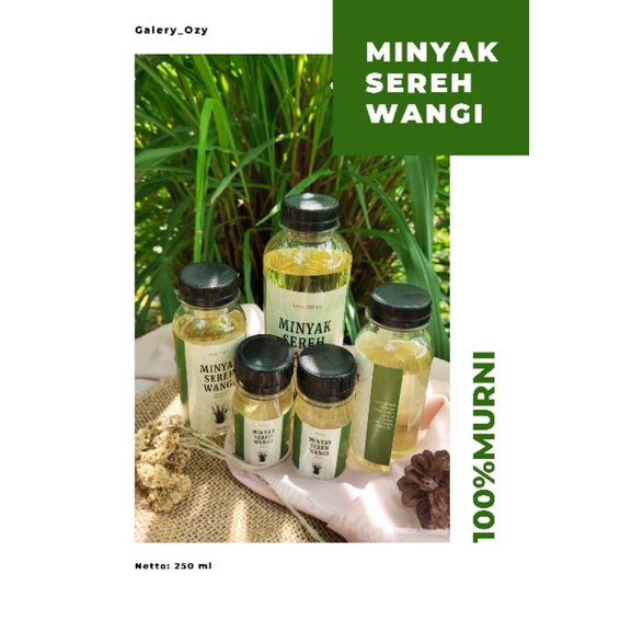 Jual Minyak Sereh Wangi 250ml Cetronella Oil Minyak Urut Minyak Oles ...