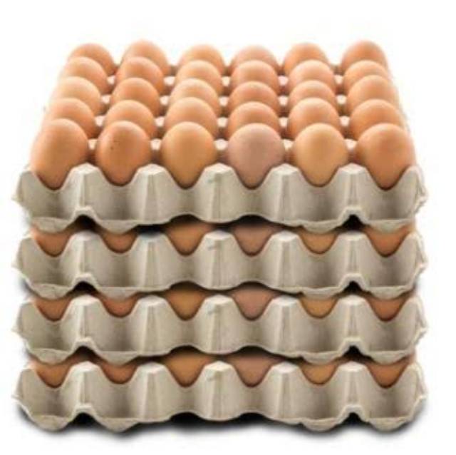 

RB Telur Ayam Negeri 30 Butir