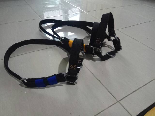 Adjustable Head halter sapi.