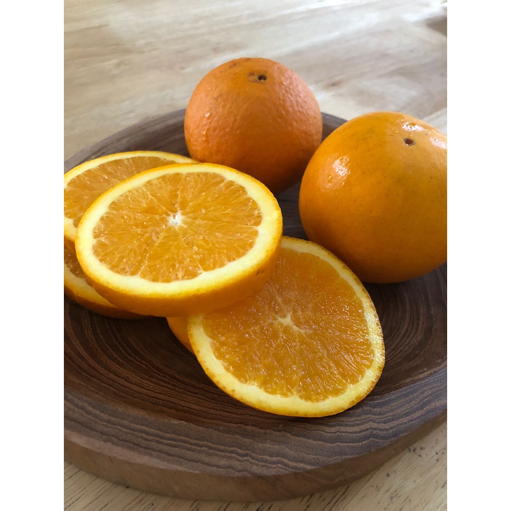 Jeruk Sunkist Navel RRT