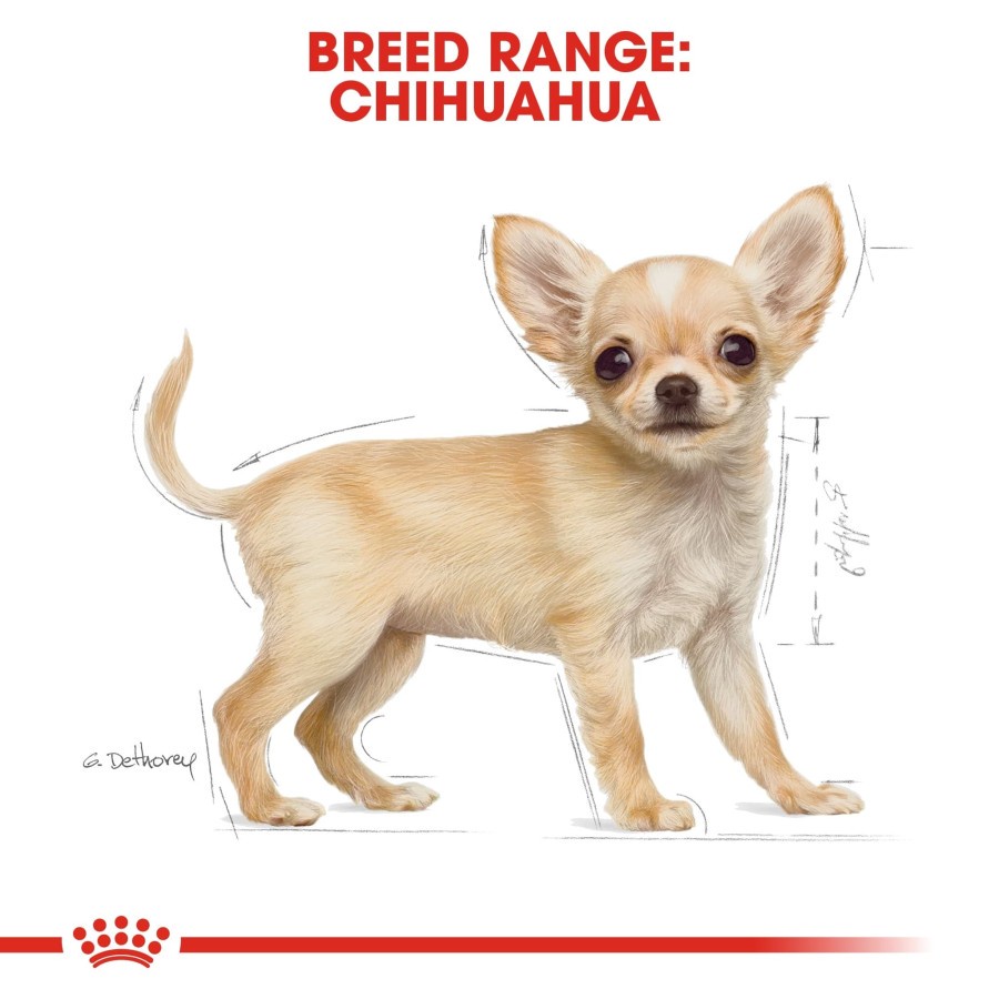 Royal Canin Puppy Chihuahua 1.5 kg Makanan Anak Anjing Dry Dog Food RC