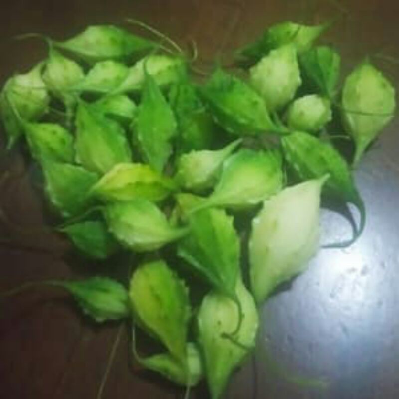 

Buah pare hutan paria kecil segar 200gram