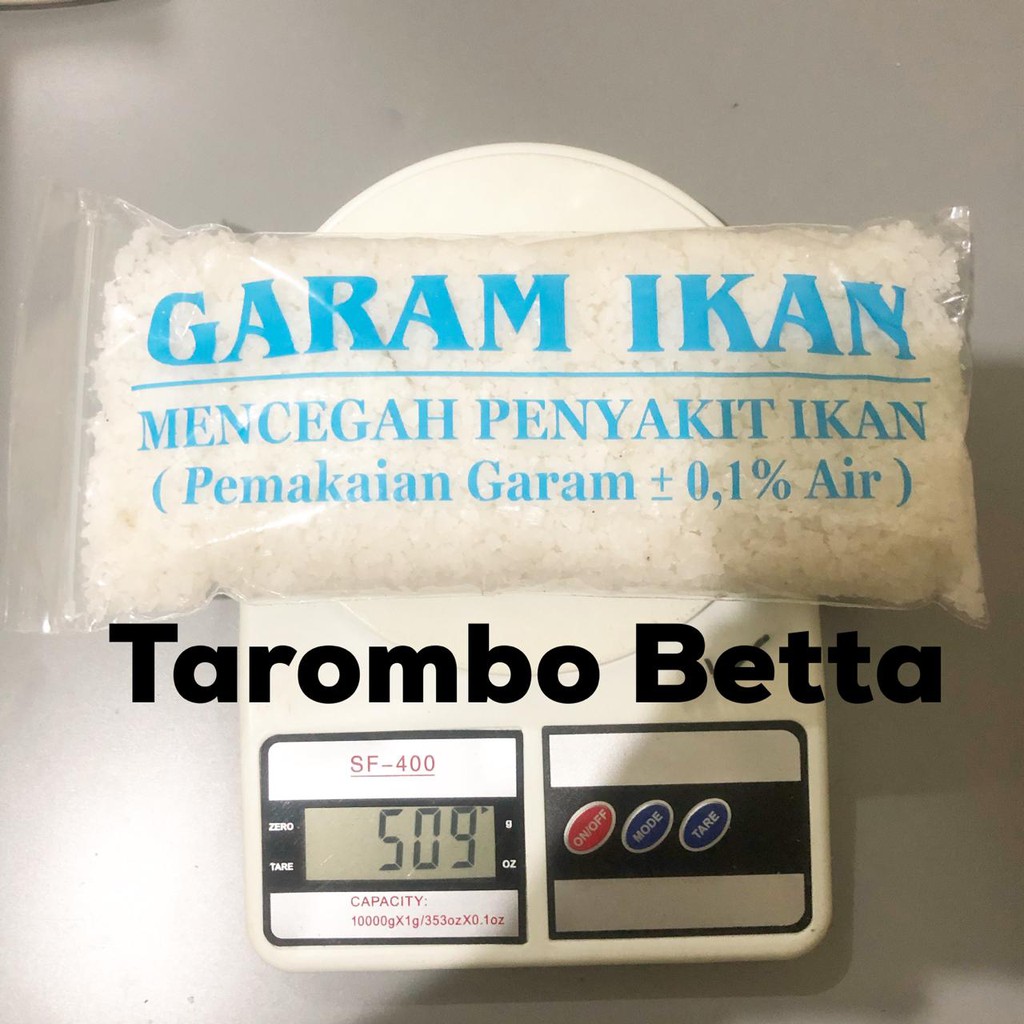 GARAM GAREM IKAN