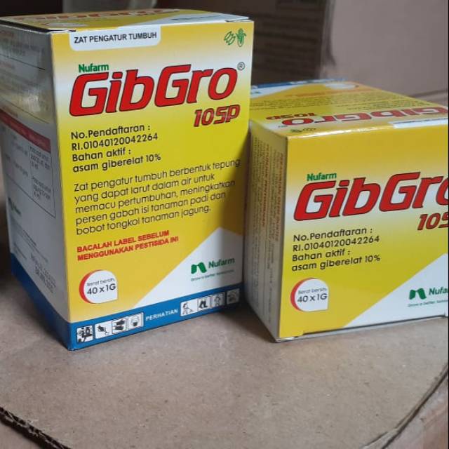 Gibgro 10 sp. ZPT