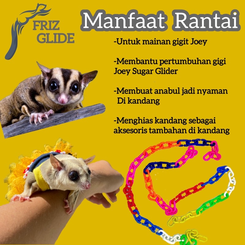 RANTAI SUGAR GLIDER 1METER MAINAN AKSESORIS CLIMBING ROPE TUPAI TERBANG