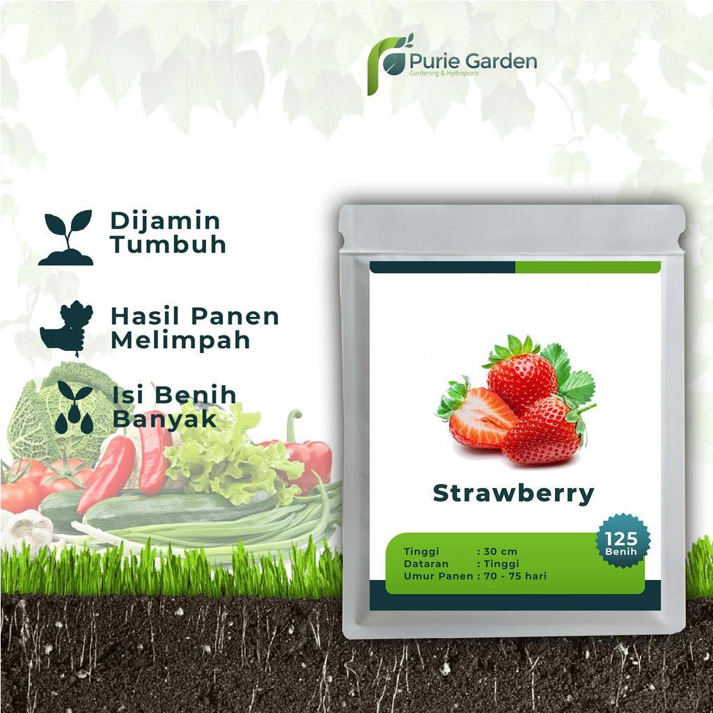 Benih Bibit Biji Unggul Strawberry 125 Benih PG SBY