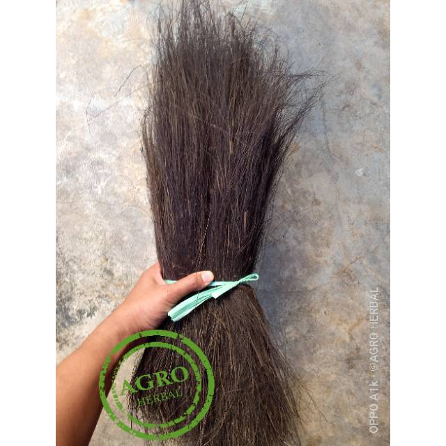 Injuk Aren Super 1kg