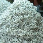 

Teri Medan