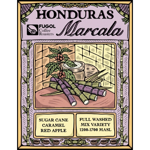 

Kopi Arabika HONDURAS MARCALA (200 gr) Single Origin Specialty Beans Arabica Coffee