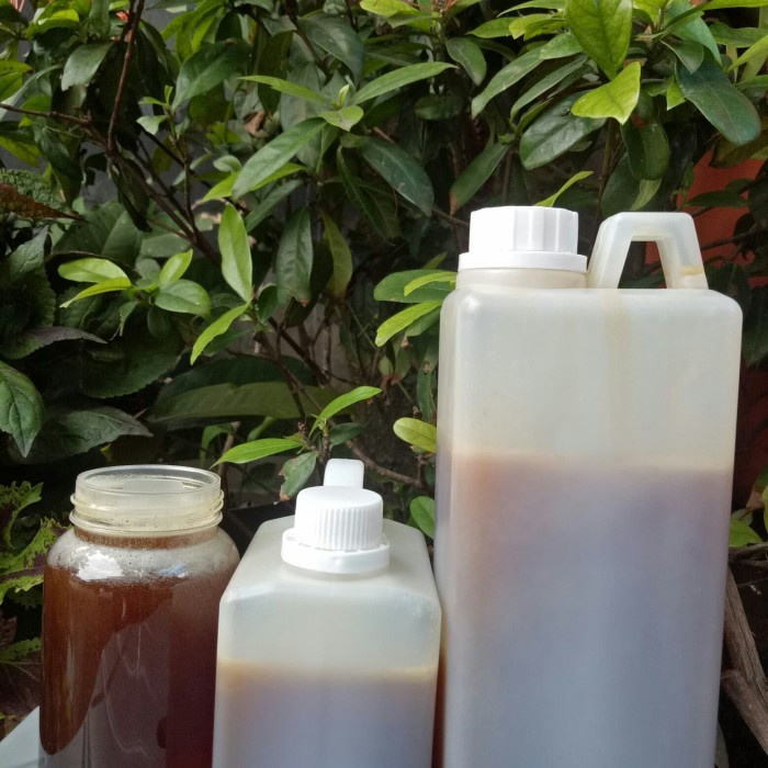 

madu hutan sumatra sialang 1kg murni