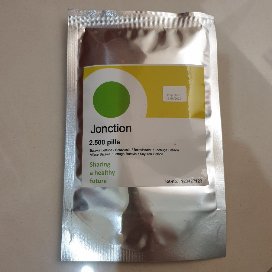 Benih JONCTION RZ Batavia Lettuce Jonction Rijk Zwaan (2500 seeds)