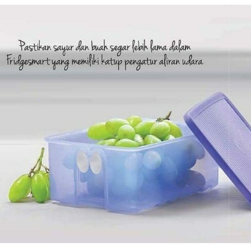 Fridgesmart Medium