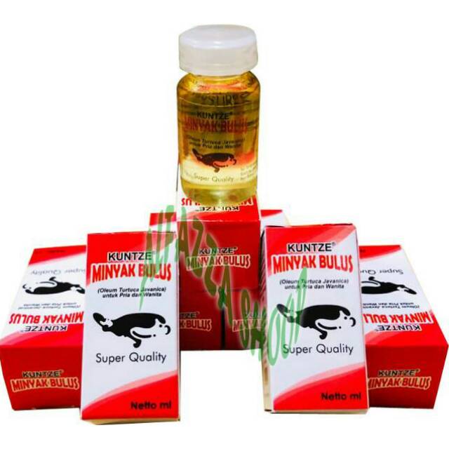 MINYAK BULUS KUNTZE / UNTUK PRIA DAN WANITA SUPER QUALITY ORIGINAL BPOM