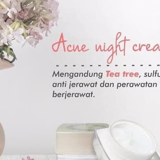 Acne Night Cream Ms Glow Original