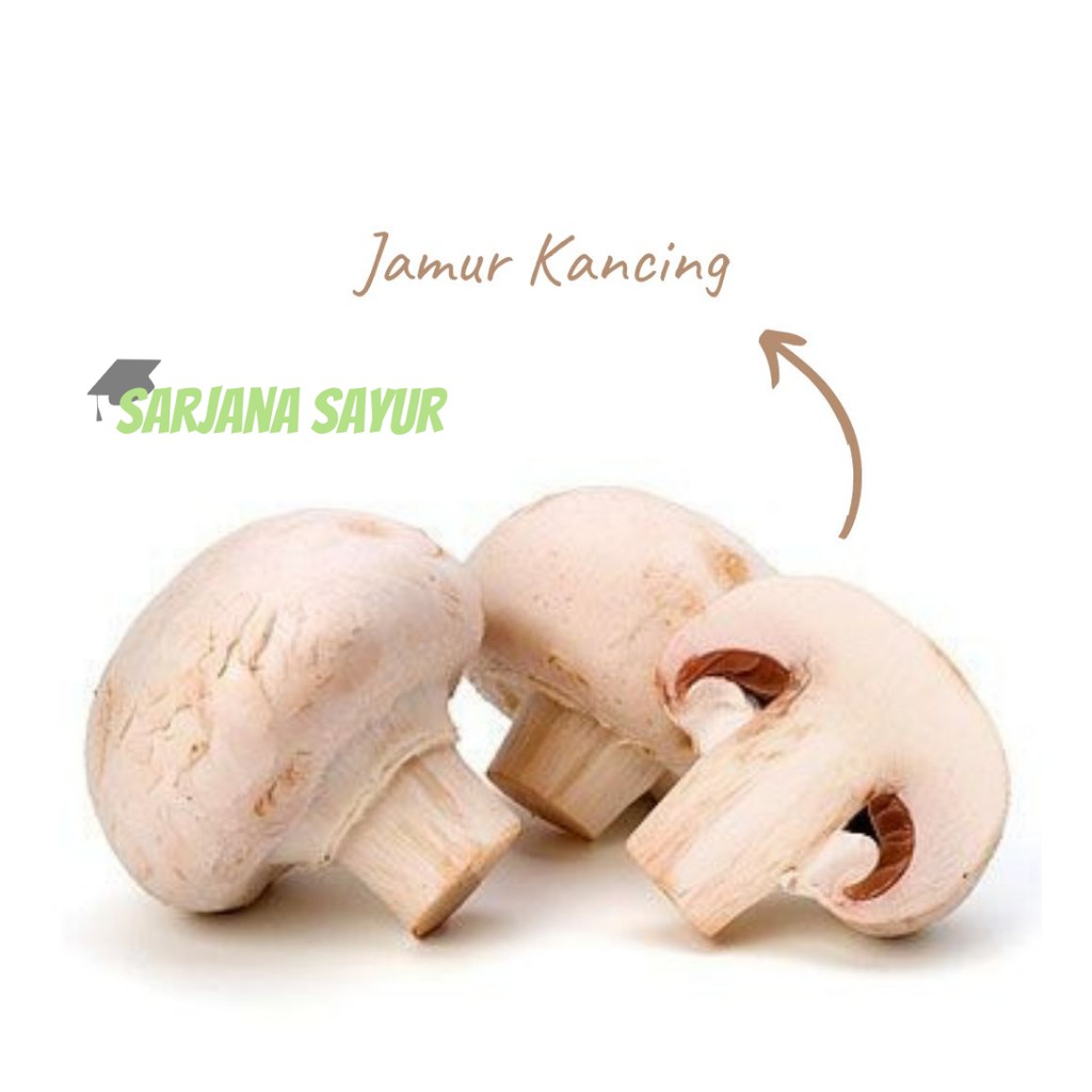 

Jamur Kancing 250gr / Sarjana Sayur