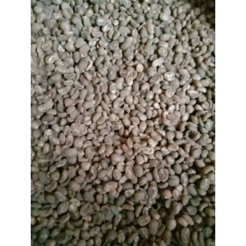 

GreenBean grade B