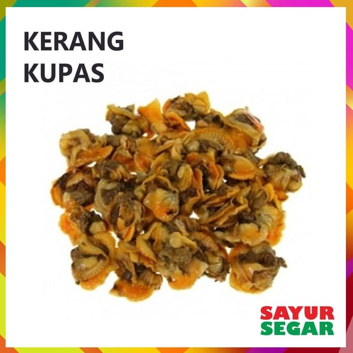 Jual Kerang Kupas / Kerang Orange [250G] Shopee Indonesia