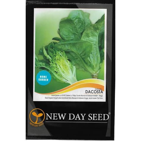 Benih Selada Romaine