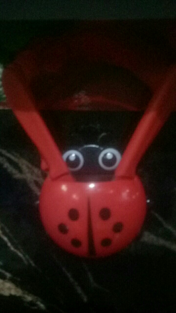 Pisau Dapur Pemotong Buah Sayur Stainless / Pisau Pengupas Buah Sayuran