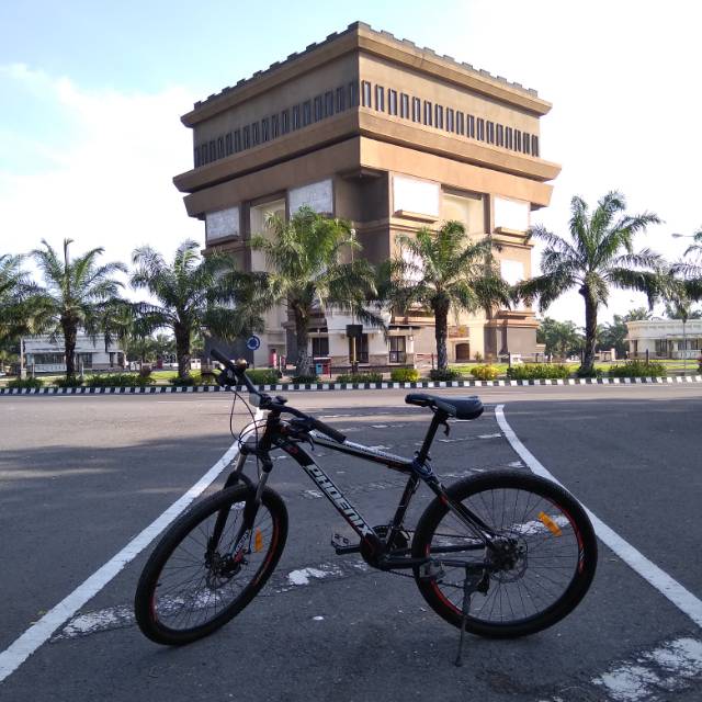 feriardani16