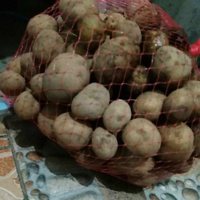 Kentang Kecil 1kg