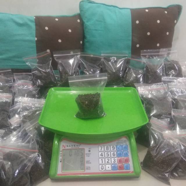 

Lada hitam biji murni hiegines