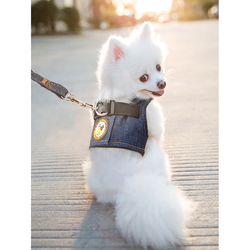 Tali Tuntun Anjing Kecil Sedang Shopee Indonesia