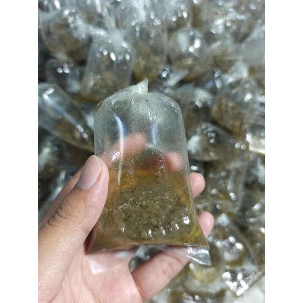 

Bumbu kuah bakso hijau