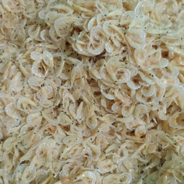 

Rebon jeruk jumbo 500 gram