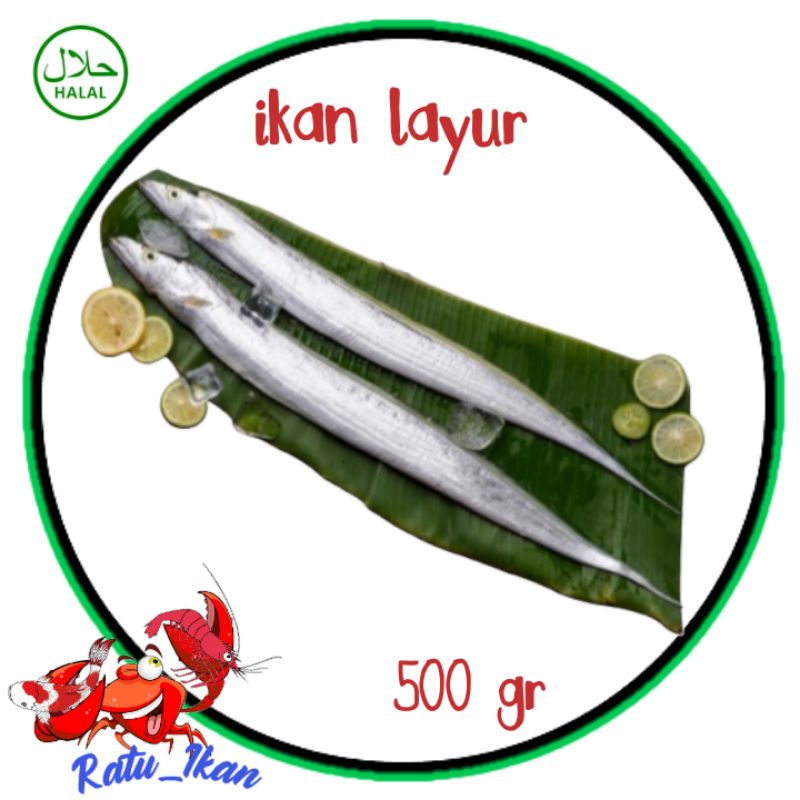 

ikan layur segar [500gram] ratu_ikan