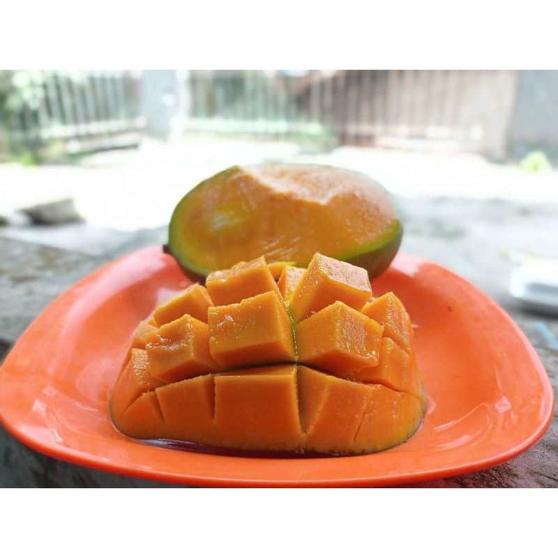 

BUAH KAWENI MATENG DI POHON