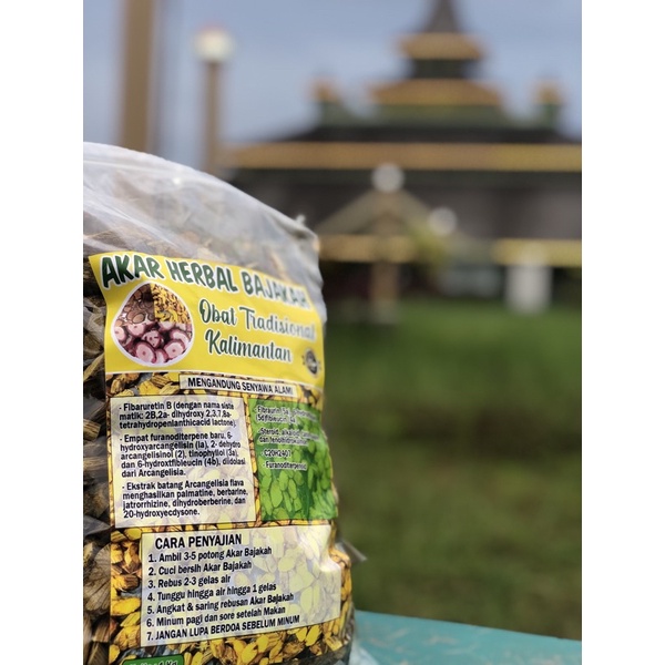 

AKAR KAYU BAJAKAH / KAYU BAJAKAH / BAJAKAH KUNING PREMIUM 1KG ASLI KALIMANTAN ORIGINAL