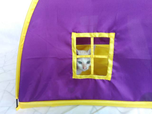 Kasur kucing, tempat tidur kucing/anjing/pet, tenda kucing, catlover, kitty, kitten,lorong